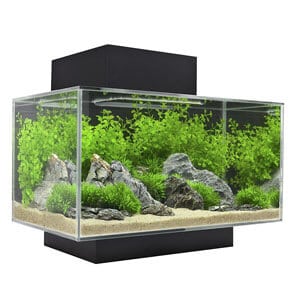 אקווריום Fluval Edge